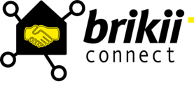 Logo Brikii Connect